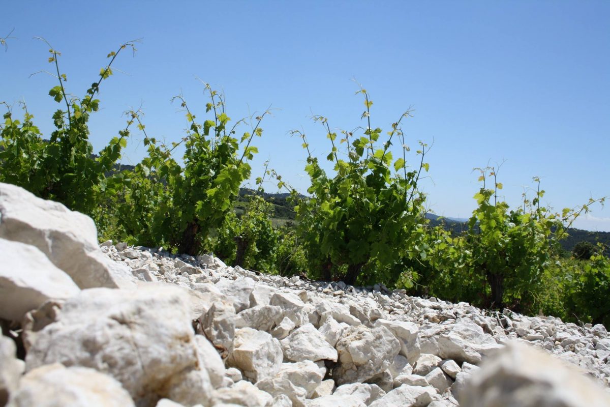 Balade gourmande de St Jean 2017