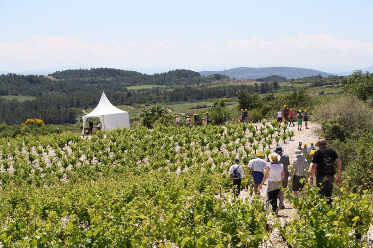 Balade gourmande de St Jean 2017