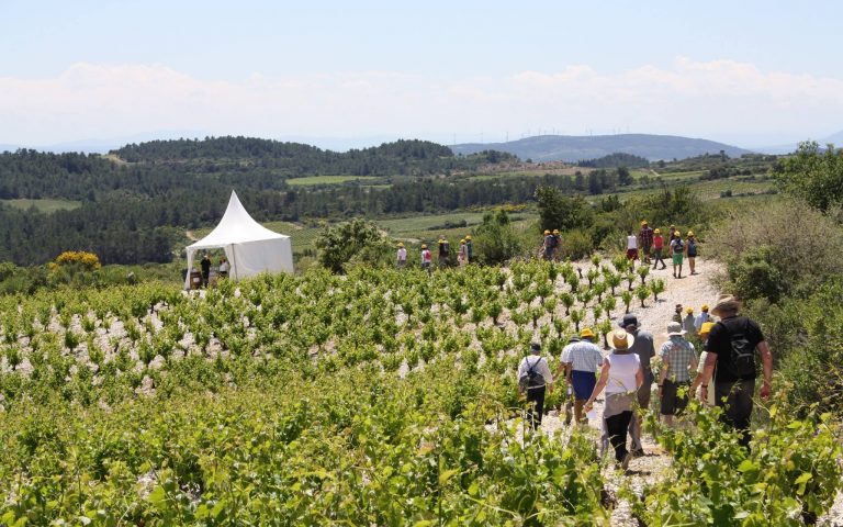 Balade gourmande de St Jean 2017