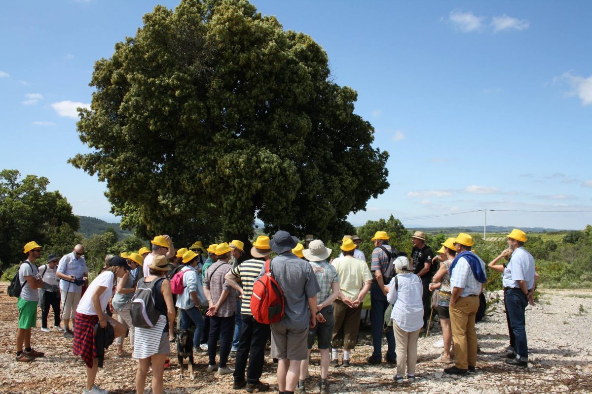 Balade gourmande de St Jean 2017