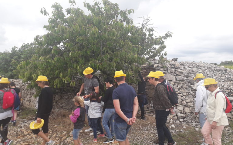 Retour en image sur la Balade Gourmande